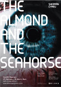 Bookcover Almond and the Seahorse